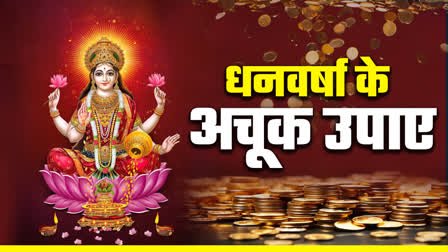 शुक्रवार को लौंग से करें ये अचूक टोटके