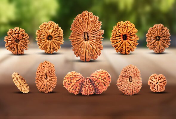 Rudraksha