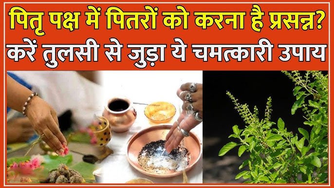 Pitru Paksha Tulsi Remedies